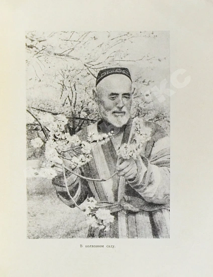 Антикварная книга Лукницкий, П.Н. Таджикистан — Лукницкий Павел Николаевич, 1951 дополнительное фото 7