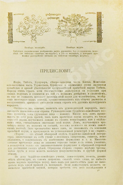 Антикварная книга Бадмаев, П.А. Главное руководство по врачебной науке Тибета Жуд-Ши — , 1903 дополнительное фото 4
