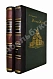 Антикварная книга Трачевский, А.С. Русская история — , 1895