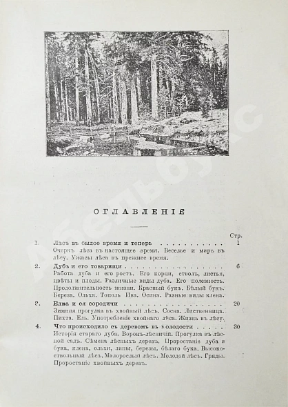 Антикварная книга Вагнер, Г. Путешествие по лесу и степи — , 1910 дополнительное фото 7