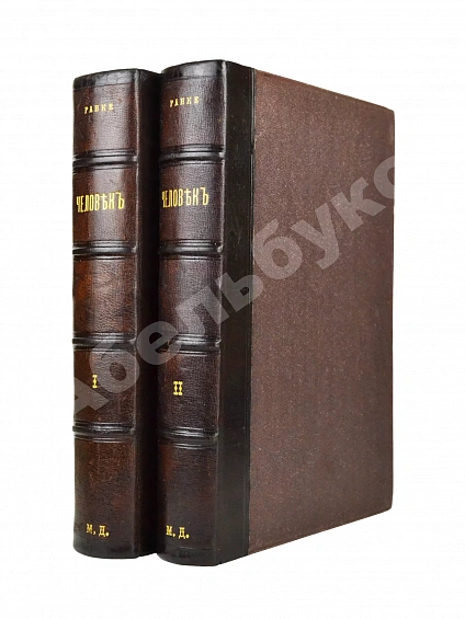 Антикварная книга Ранке, И. Человек — Ранке Иоганн, 1900