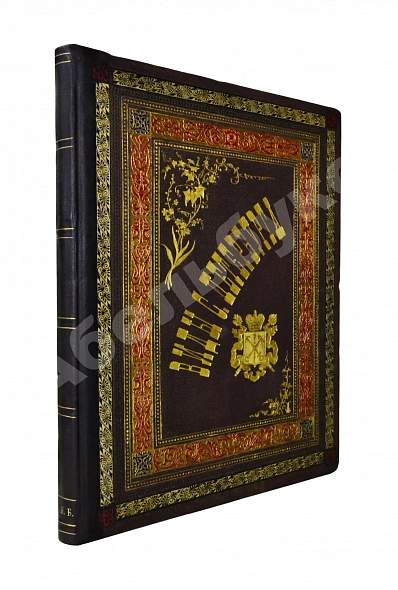 Антикварная книга Виды Петербурга. С фотографий Л.К. Карбини — , 1895