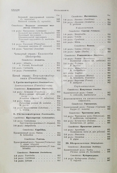 Антикварная книга Брэм, А. Жизнь животных Брэма — , 1902-1909 дополнительное фото 67