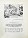 Антикварная книга Реклю, Э. Человек и земля — Реклю Элизе, 1906-1909 дополнительное фото 15