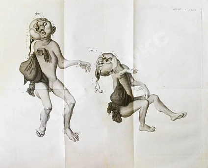 Антикварная книга Труды Академии наук — , 1821-1823 дополнительное фото 14