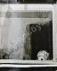 Комовский, А.Г. Крупноформатная фотография «Кузька ждёт хозяина»