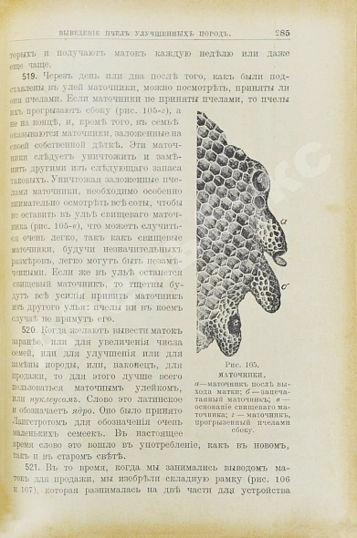 Антикварная книга Лангстрот, Л.-Л. Пчела и улей — , 1913 дополнительное фото 7