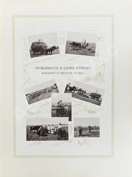 Антикварная книга Сельскохозяйственный промысел в России — , 1914 дополнительное фото 16