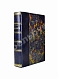 Антикварная книга Бэн, А. Психология — Бэн Александр, 1902-1906