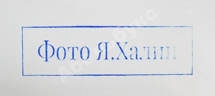 Халип, Я.Н. Крупноформатная художественная фотография «Две лошади» дополнительное фото 4