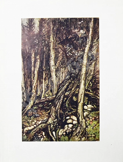 Антикварная книга Жуковский, В.А. Ундина — Жуковский Василий Андреевич, 1912 дополнительное фото 6