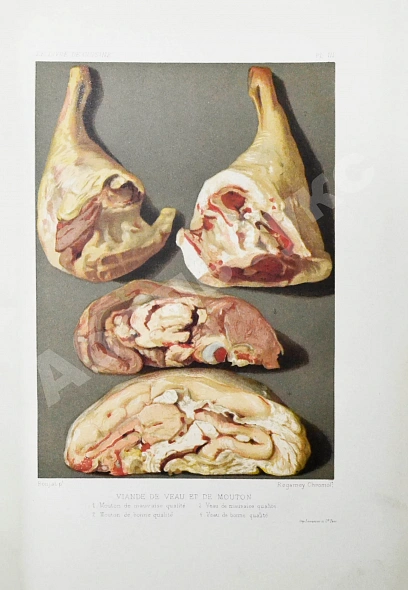Антикварная книга Gouffé, J. Le livre de cuisine par Jules Gouffe. La cuisine de menage et la grande cuisine — , 1893 дополнительное фото 6