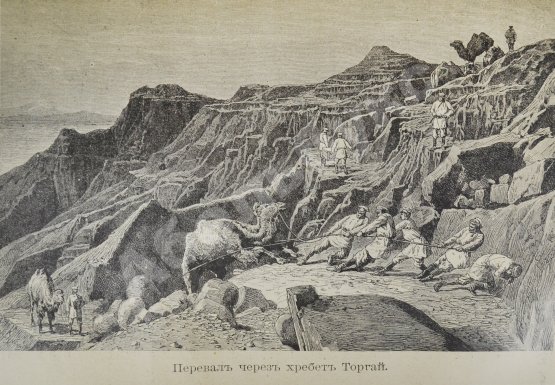 Антикварная книга Зеленин, А.В. Путешествия Н.М. Пржевальского