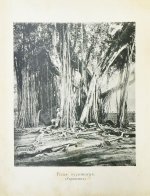 Щербатова, О.А. В стране вулканов