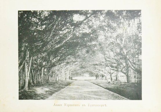 Антикварная книга Щербатова, О.А. В стране вулканов