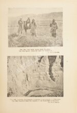 Вавилов, Н.И., Букинич, Д.Д. Земледельческий Афганистан