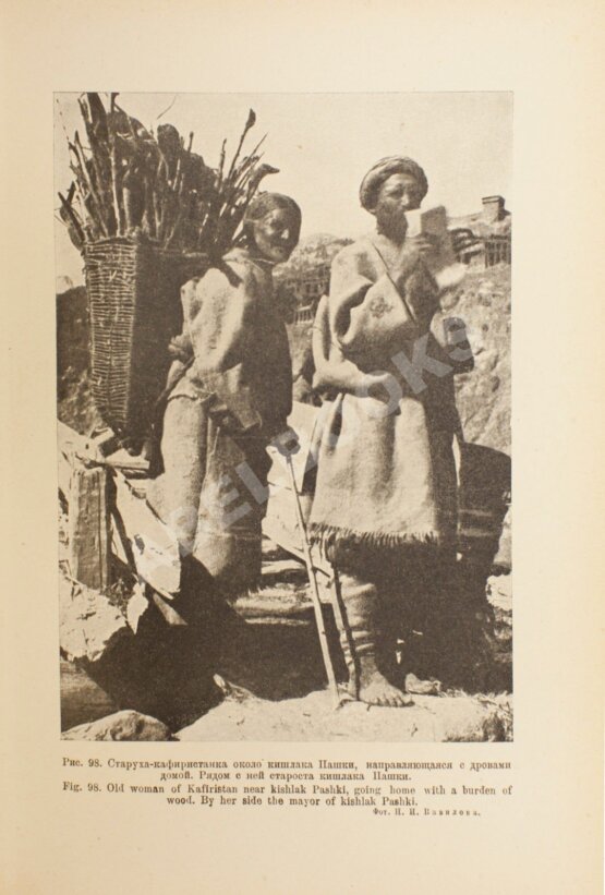 Антикварная книга Вавилов, Н.И., Букинич, Д.Д. Земледельческий Афганистан