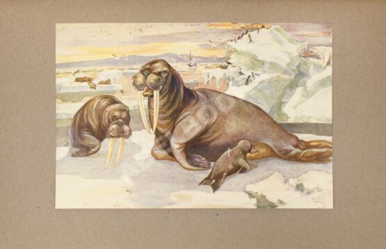 Антикварная книга Детская энциклопедия