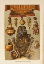 Гельмольт, Г. История человечества. Всемирная история