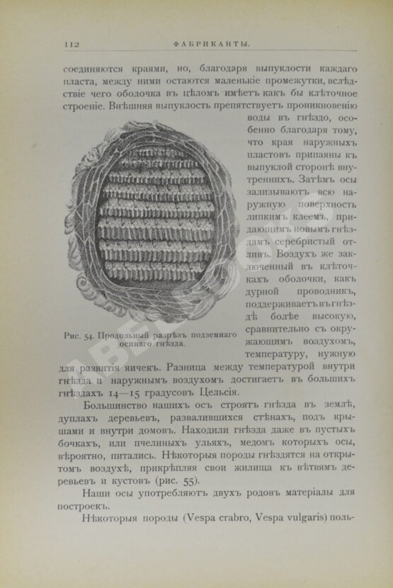 Антикварная книга Купэн, Г. Искусства и ремёсла у животных Антикварная книга Купэн, Г. Искусства и ремёсла у животных