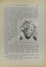 Купэн, Г. Искусства и ремёсла у животных
