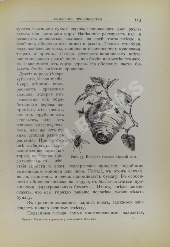 Антикварная книга Купэн, Г. Искусства и ремёсла у животных Антикварная книга Купэн, Г. Искусства и ремёсла у животных