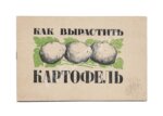 Как вырастить картофель