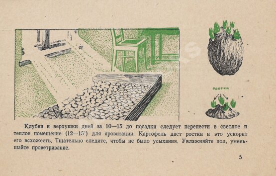 Антикварная книга Как вырастить картофель