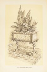 Гесдёрфер, М. Комнатное садоводство