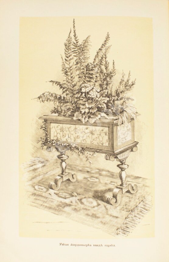 Антикварная книга Гесдёрфер, М. Комнатное садоводство