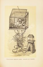 Гесдёрфер, М. Комнатное садоводство