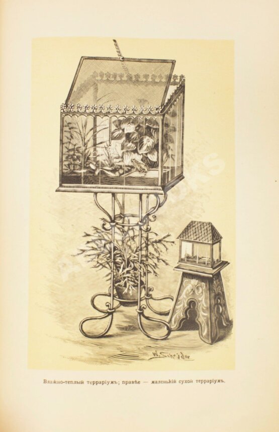 Антикварная книга Гесдёрфер, М. Комнатное садоводство
