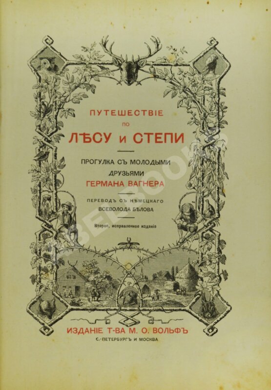 Антикварная книга Вагнер, Г. Путешествие по лесу и степи Антикварная книга Вагнер, Г. Путешествие по лесу и степи