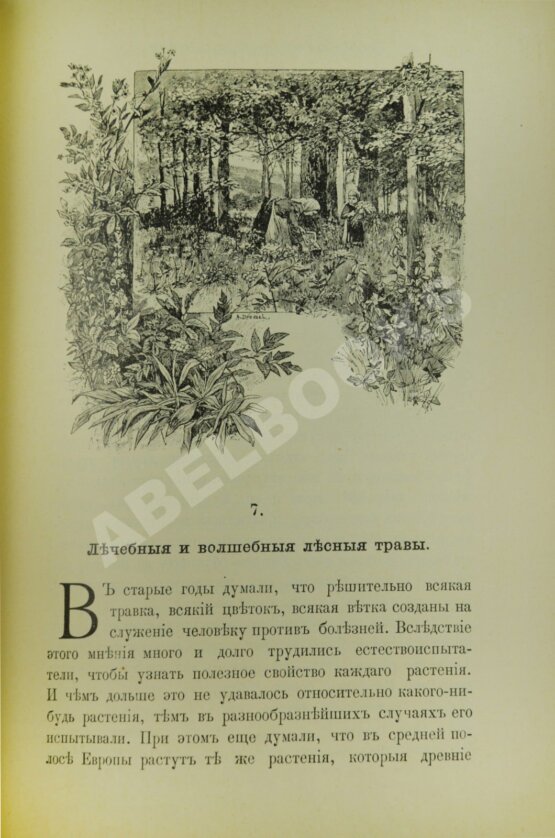 Антикварная книга Вагнер, Г. Путешествие по лесу и степи Антикварная книга Вагнер, Г. Путешествие по лесу и степи