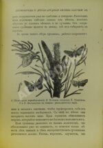 Вагнер, Г. Путешествие по лесу и степи