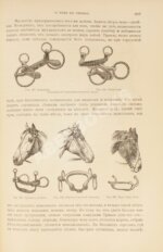 Урусов, С.П. Книга о лошади