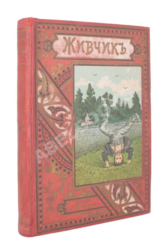Антикварная книга Фенн, Г.М. Живчик Антикварная книга Фенн, Г.М. Живчик
