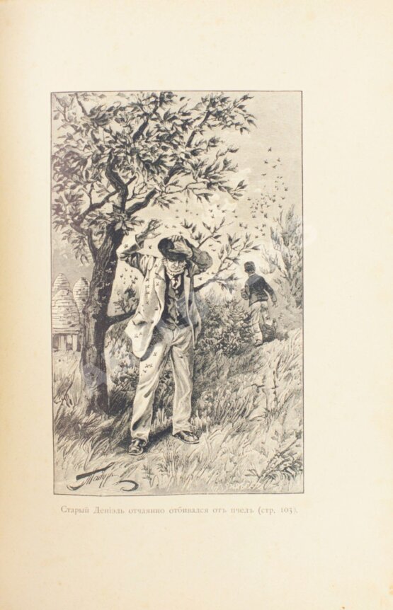 Антикварная книга Фенн, Г.М. Живчик Антикварная книга Фенн, Г.М. Живчик
