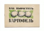 Как вырастить картофель