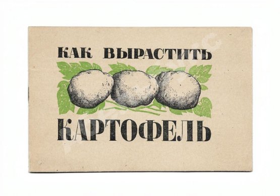 Антикварная книга Как вырастить картофель