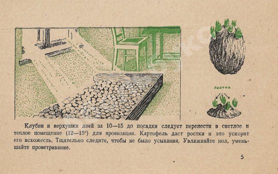 Антикварная книга Как вырастить картофель