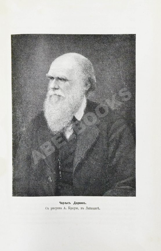 Антикварная книга Лейкснер, О. фон. Наш век