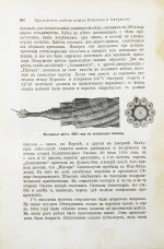 Лейкснер, О. фон. Наш век