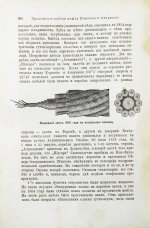 Лейкснер, О. фон. Наш век