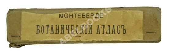 Антикварная книга Монтеверде, Н.А. Ботанический атлас