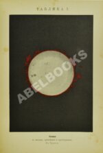 Юнг, Ч.А. Солнце