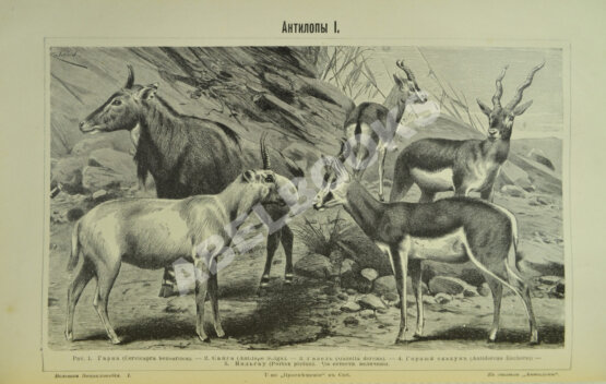 Южаков, С.Н. Большая энциклопедия