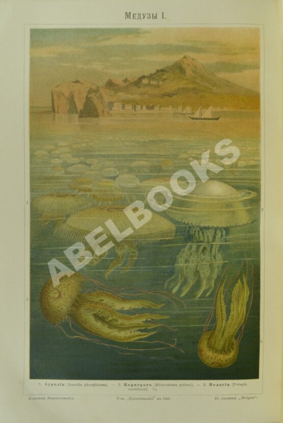 Южаков, С.Н. Большая энциклопедия