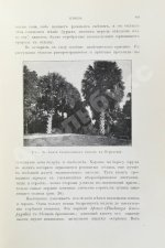 Гюнтер, К. Цейлон. Введение в мир тропиков