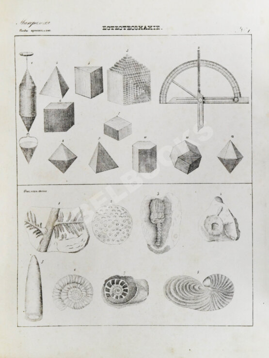Антикварная книга Картинная галерея или систематическое собрание рисунков по всем отраслям человеческих познаний